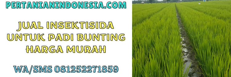 jual,murah,pertanian indonesia,jual insektisida untuk padi bunting,jual insektisida untuk padi bunting murah